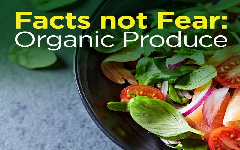 Organic produce graphic