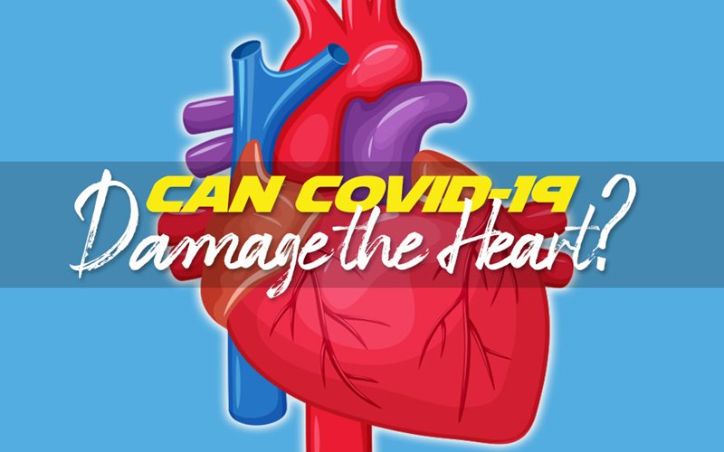 Can Covid Harm Your Heart Graphic