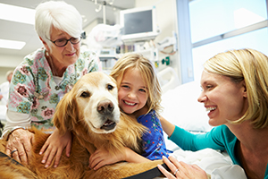Service dog comforting pediatric patient