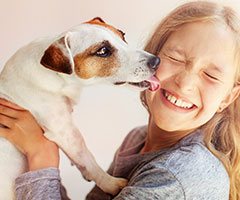 Dog licking little girl