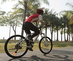 Cyclist on the trail