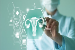 digital image outlining a uterus 