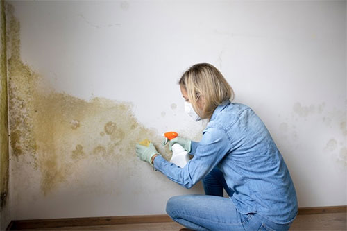 A women cleaning mold off her walls