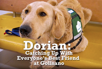Dorian: Catching Up With Everyone's Best Friend at Golisano